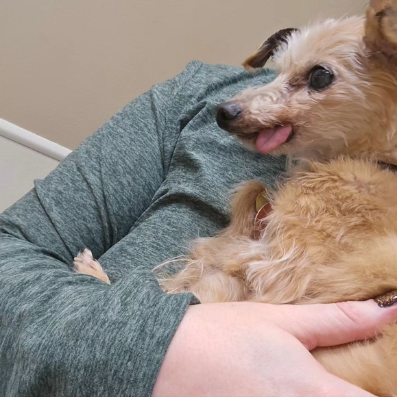 Purchases fund Rizzo's medical care - Picture 2 of 5